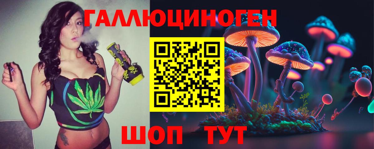 Псилоцибиновые грибы прущие грибы  Вход с VPN  Новодвинск  Псилоцибиновые грибы Psilocybine cubensis 