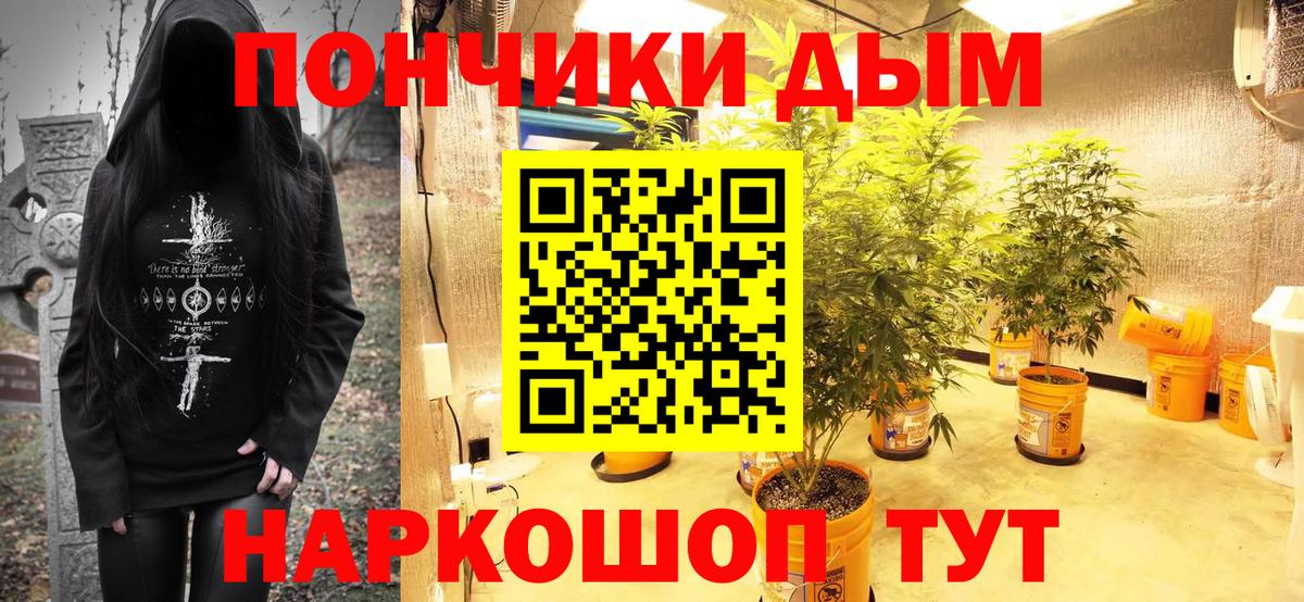 Каннабис индика Новодвинск